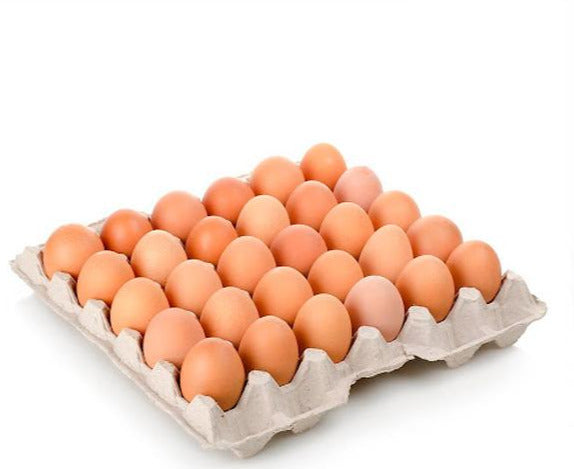Cubeta Huevos KIKES XL