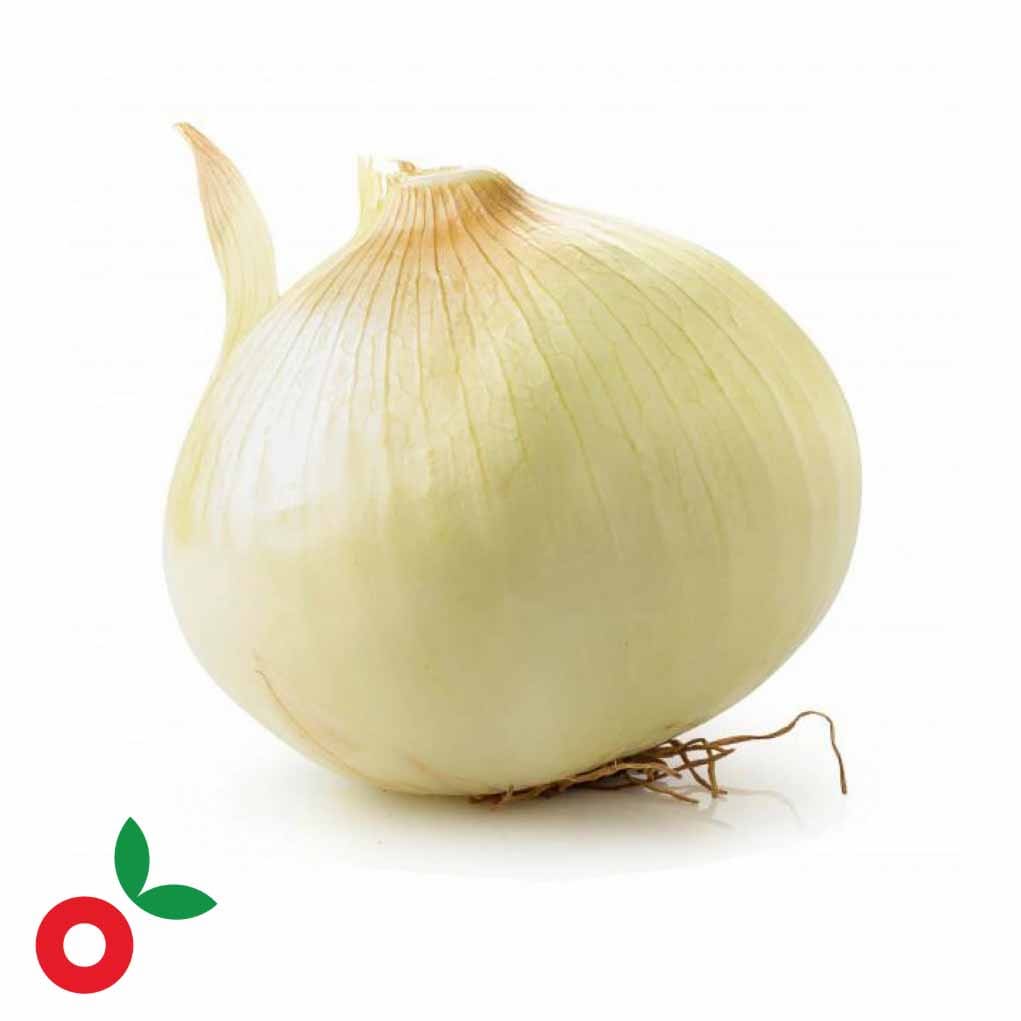 Cebolla Cabezona